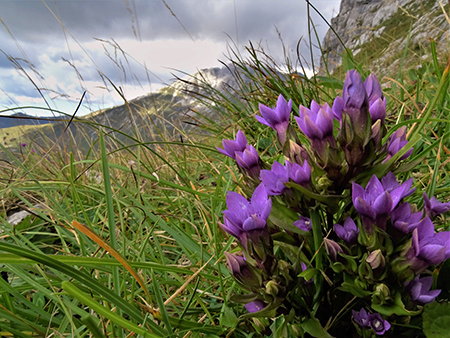 Cima Foppazzi (2097 m) e Cima Grem (2049 m) da Alpe Arera -22ag22- FOTOGALLERY