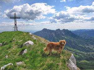 Anche Scilla si gode il panorama sull'orlo della cresta di Cima Grem