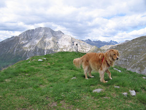 Anche Scilla si gode il panorama sull'orlo della cresta di Cima Grem