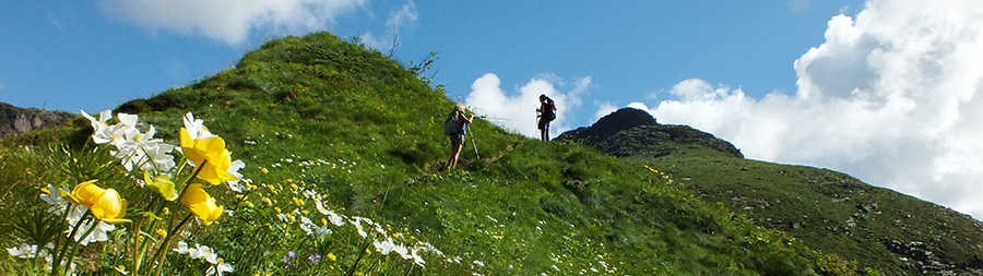 Sul sentiero 270A dal Passo della Marogella alla Cima di Mezzeno