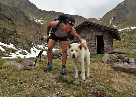 Laghi Gemelli dalle Baite di Mezzeno, fiori, stambecchi e ancora neve (4giu21) - FOTOGALLERY