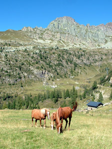 Ai Laghi Gemelli con lo sfondo del Pizzo del Becco