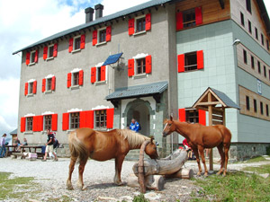 Cavalli al'abbeveratoio del Rif. Laghi Gemelli