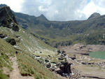 I segni della grandinata d'agosto 2006 ai Laghi Gemelli