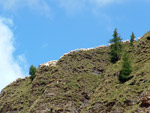Pecore al pascolo in cresta sulle montagne erbose dei Laghi Gemelli