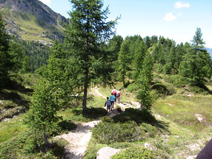 Passeggiare nei dintorni