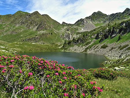 Anello Laghi di Porcile-Passo di Tartano, Cima-Passo di Lemma da Baita del Camoscio (5 luglio 2021)- FOTOGALLERY