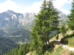 Sul sentiero 101 con vista verso il Pegherolo e il Cavallo - foto Piero Gritti  4 agosto 07