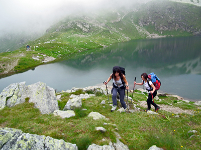 Sul monte CORNO STELLA (2620 m) in compagnia degli stambecchI l’8 agosto 2014  - FOTOGALLRY