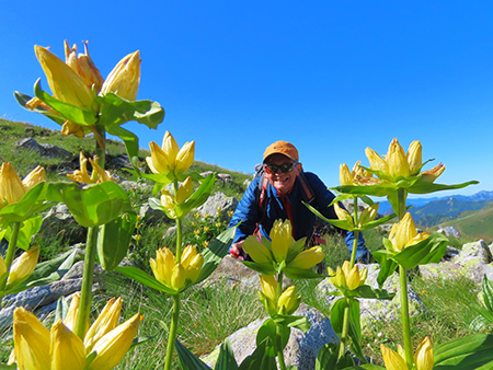 CORNO STELLA , panorami, monti, laghi, fiori, stambecchi-9lu25  - FOTOGALLERY