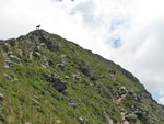 Verso cima Corno Stella - foto Piero Gritti  22 luglio 07
