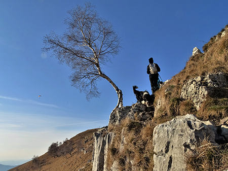 In Linzone (1392 m) da Roncola ad anello-12febb22-FOTOGALLERY