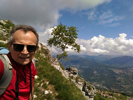 Spettacolo di narcisi e di amici sul Linzone (1392 m) il 12 maggio 2018 - FOTOGALLERY