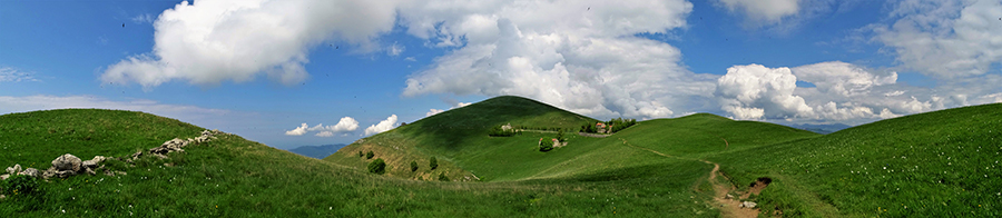 Spettacolo di narcisi e di amici in Linzone il 12 maggio 2018