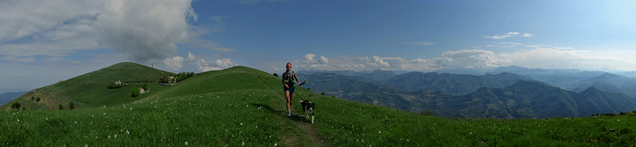 Panorama sui dossi prativi del Linzone e verso la Valle Imagna e le Orobie