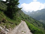 IMG_0850