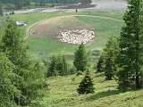 IMG_0898