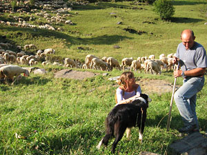 Beppe con il gregge a Pagliari