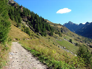 La strada sterrata che sale al Longo (transito alle auto autorizzate)