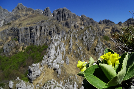 MONTE MAGNODENO e CRESTE DELLA GIUMENTA ad anello da Erve il 25 aprile 2016 - FOTOGALLERY