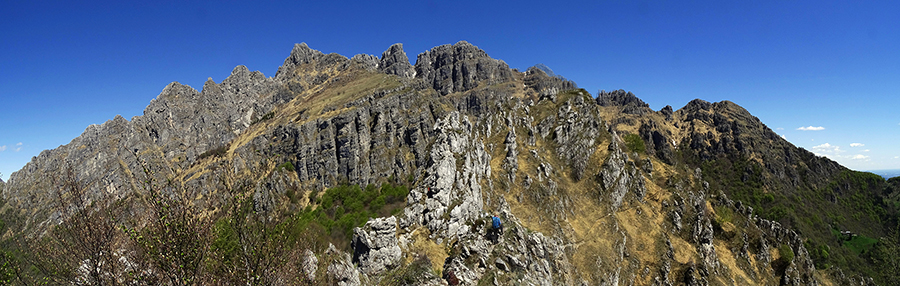 Cresta della Giumenta con vista in Resegone