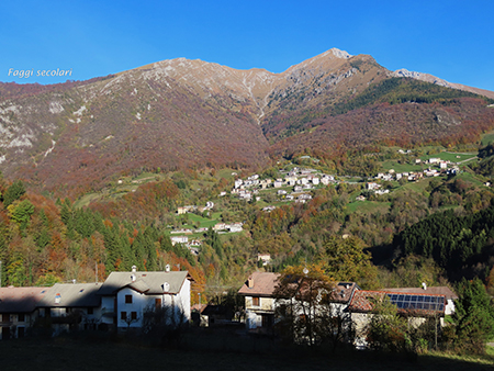 Ai faggi secolari del Menna dal Passo dell’orso ad anello da Zorzone – 27ott25   -  FOTOGALLERY
