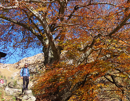Ai faggi secolari del Menna dal Passo dell’orso ad anello da Zorzone – 27ott25   -  FOTOGALLERY