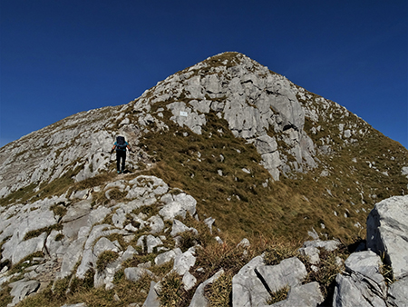 CIMA MENNA (2300 m) da Zorzone ad anello con discesa dal Chignol d’Arale-11ott21  -  FOTOGALLERY