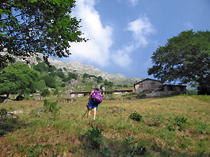 Lasciato il bosco si esce allo scoperto dei pascoli della Cascina Mattuida
