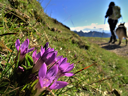In MINCUCCO, baciati dal sole...sferzati dal vento-17sett2 - FOTOGALLERY