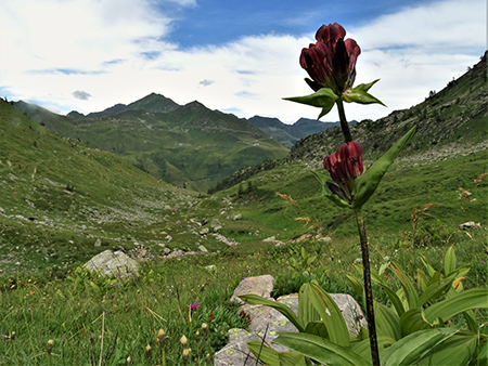 MONTE MINCUCCO (croce 1832 m - cima 2001 m) ad anello dal piano del Lago di Valmora il 17 luglio 2021 - FOTOGALLERY