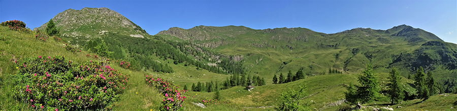 Saliamo per sentiero fiorito passando per pascoli con baite al Monte MIncucco