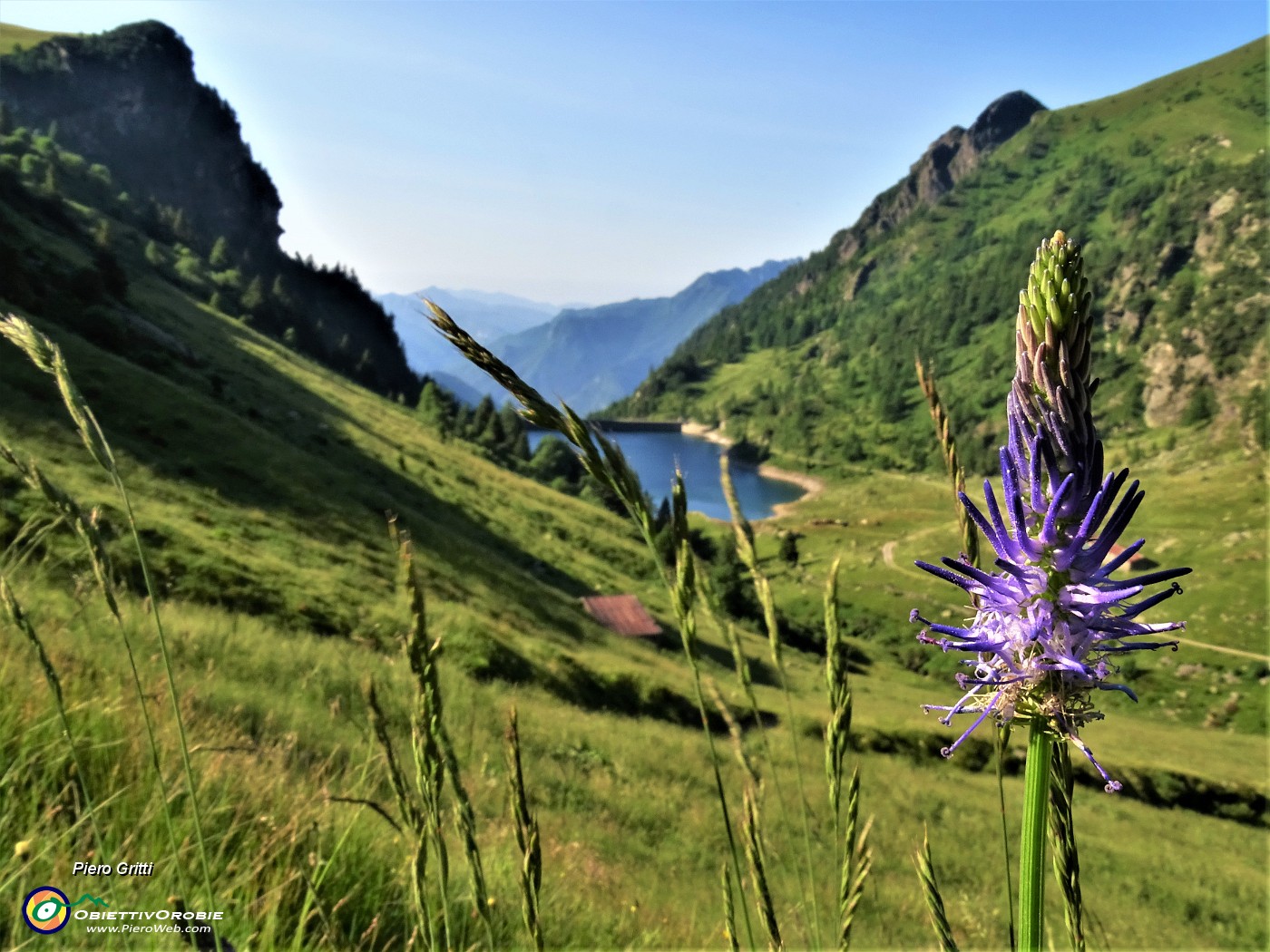 Monte Mincucco ad anello fiorito dal Lago di Valmora-26giu23/12 ...