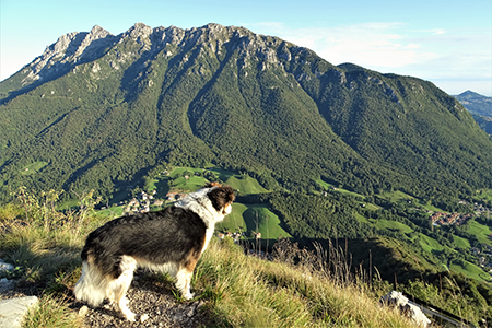 MONTE CASTELLO (croce 1425 – cima 1474 m) da Valpiana di Serina il 24 settembre 2019  - FOTOGALLERY