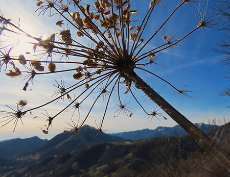 MONTE CASTELLO da Valpiana di Serina il 13 febbraio 2026 - FOTOGALLERY