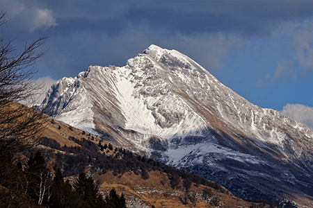 Monte VACCAREGGIO (1474 m) da Lavaggio di Dossena il 29 gennaio 2019 - FOTOGALLERY