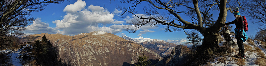 Dalla cresta di vetta del Vaccareggio (1474 m) vista a precipizio a nord sulla Val Parina sottostante e verso cime Menna, Arera, Grem