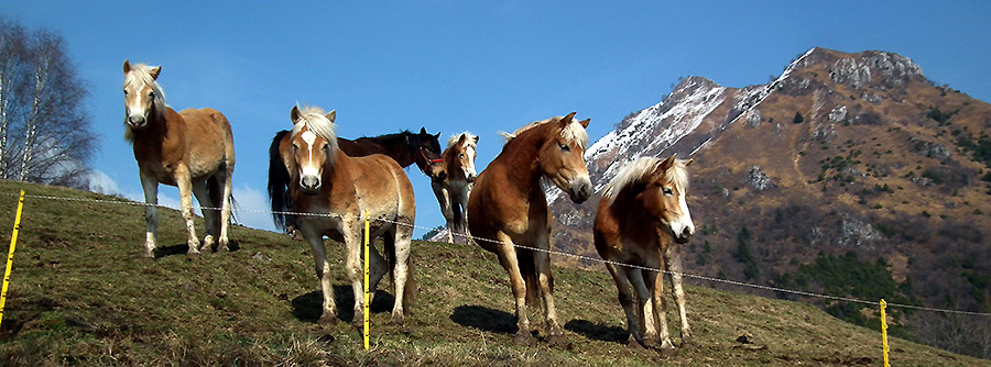 Vista in Monte Gioco da Spettino Alto