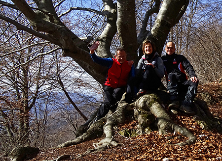 Alla croce del Monte Ocone (1363 m) dalla Forcella Alta il 20 febbraio 2016 - FOTOGALLERY