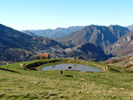 Mucche all'abbeverata alle cascine di Zambla Alta 