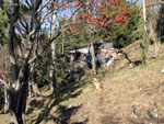 Baita Argento tra i boschi e i pascoli dell'Ortighera a quota 1550 mt.