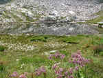 Laghetto sopra il Rifugio Dordona e sotto la Bocchetta dei Lupi - foto Piero Gritti 28 luglio 07