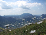 Vista verso il Resegone - foto  Piero Gritti  26 luglio 07