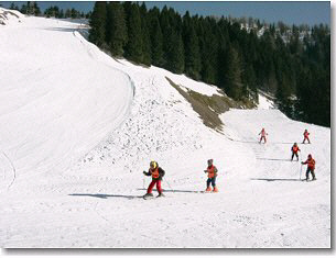Piazzatorre Ski - Pista Gremei (sinistra) e  Panoramica (destra)