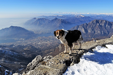 RESEGONE innevato e ‘Porta del Palio’ ad anello da Fuipiano Valle Imagna il 16 febbraio 2019- FOTOGALLERY