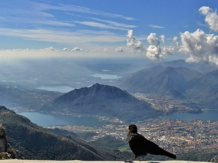 In RESEGONE, Punta Cermenati 1875 m, da Fuipiano-27sett22- FOTOGALLERY