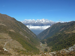 La Val Madre che scende in Valtellina