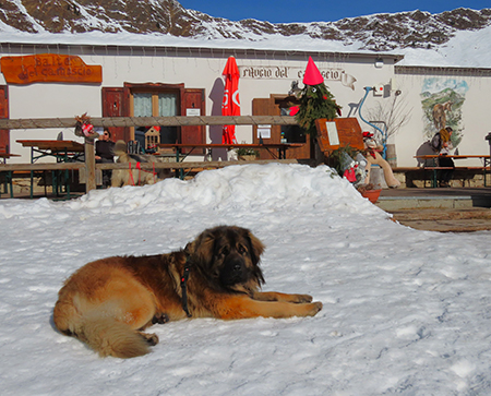 Sulle nevi da San Simone alle Baite Fontanini splende il sole!23febb26- FOTOGALLERY