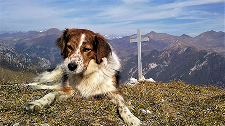 Anello del PIZZO BADILE (2044 m) da Piazzatorre il 21 ottobre 2017 - FOTOGALLERY