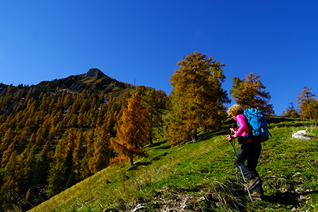 Anello del PIZZO BADILE (2044 m), da Piazzatorre il 23 ottobre 2015 - FOTOGALLERY